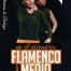 Curso de Flamenco Medio en el escenario